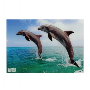 GLASS WALL PLAQUE 50x35cm DOLPHIN